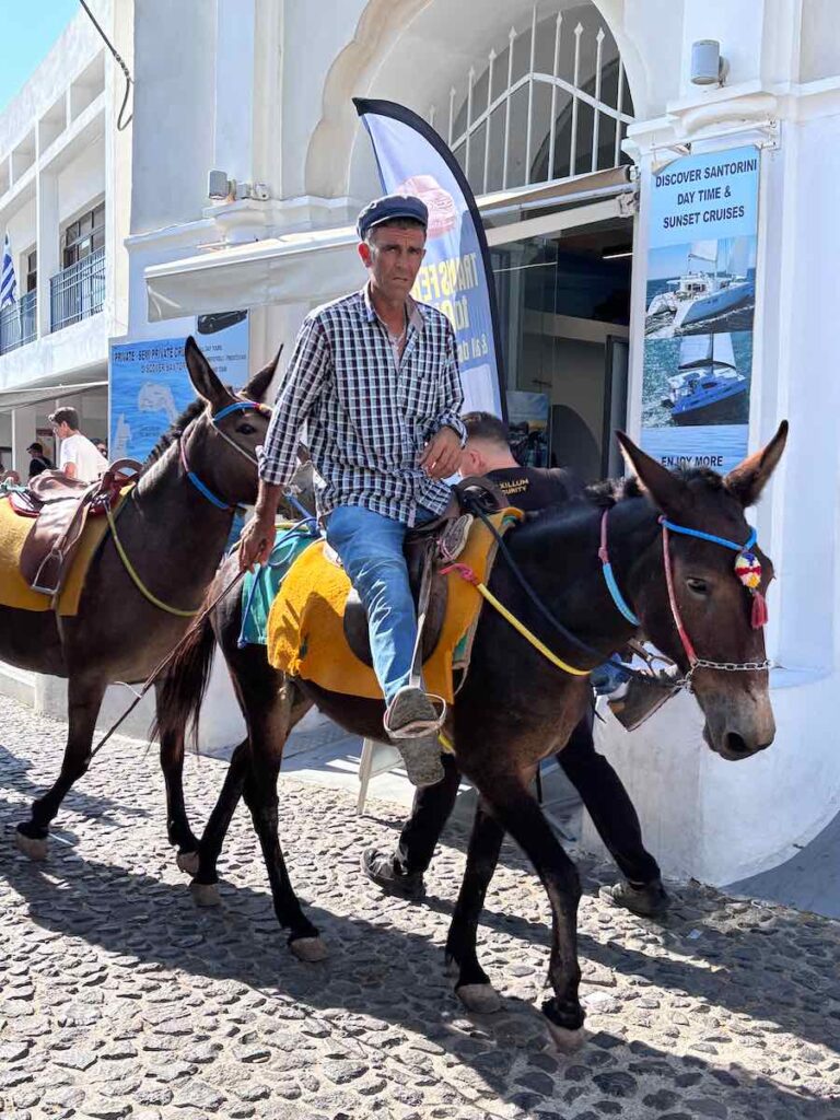 Ein Mann reitet auf einem Esel uns zieht eine Eselkarawane durch die Gassen von Fira